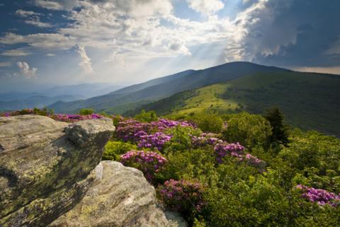 Beech Manor By Vci Real Estate Services Beech Mountain Luaran gambar